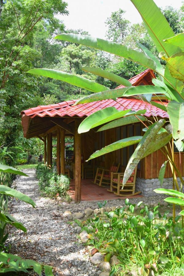 Esquinas Rainforest Lodge Golfito Ngoại thất bức ảnh