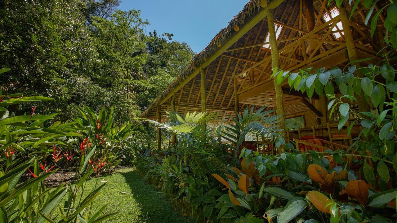 Esquinas Rainforest Lodge Golfito Ngoại thất bức ảnh