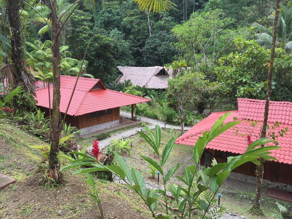 Esquinas Rainforest Lodge Golfito Ngoại thất bức ảnh
