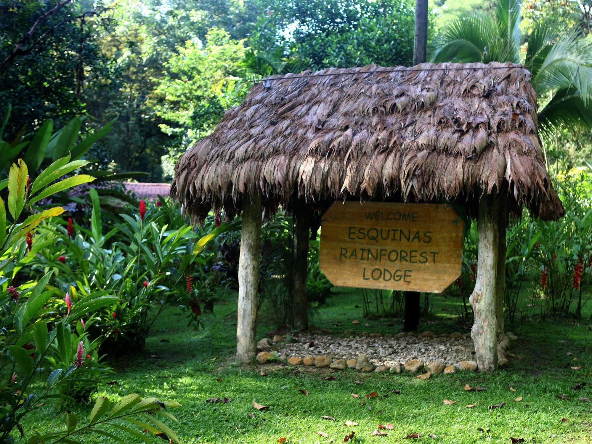 Esquinas Rainforest Lodge Golfito Ngoại thất bức ảnh
